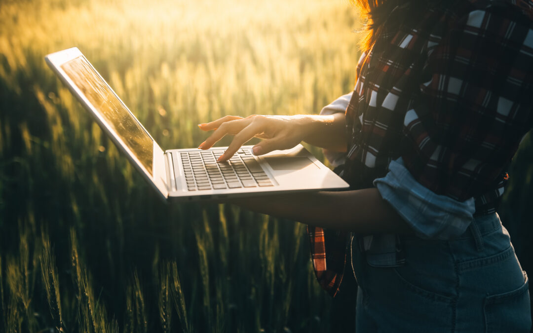 Anmeldeportal geöffnet