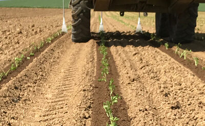 Themen-Special: Effizient bewässern