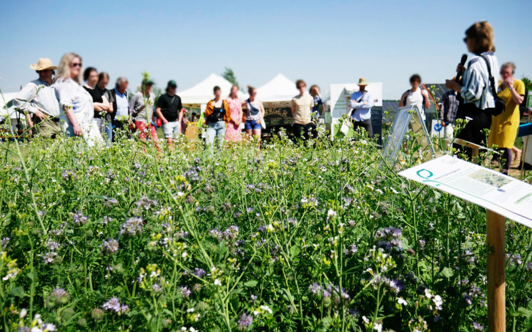 Auswertung der Besuchenden- und Ausstellendenbefragung
