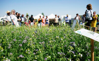 Evaluation of the visitor and exhibitor survey