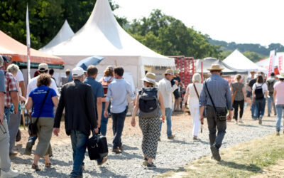 Öko-Feldtage 2023: Standort und Schwerpunkte neu