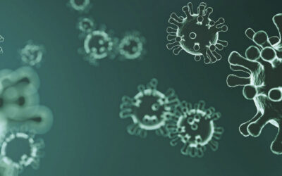 Sichere Öko-Feldtage