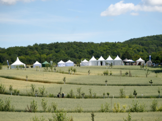 Agroforst &copy;Marzena Seidel_FiBL
