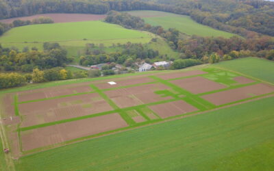 Demoparzellen winterfest