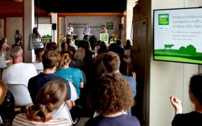 Vielfältiges Programm ist online