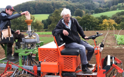 Demoparzellen ausgesät