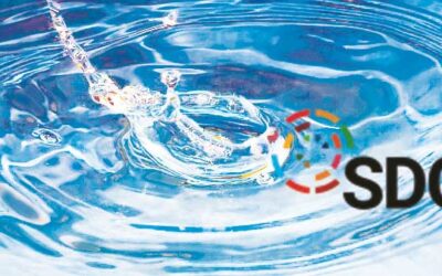 Nitratgehalt im Wasser messen